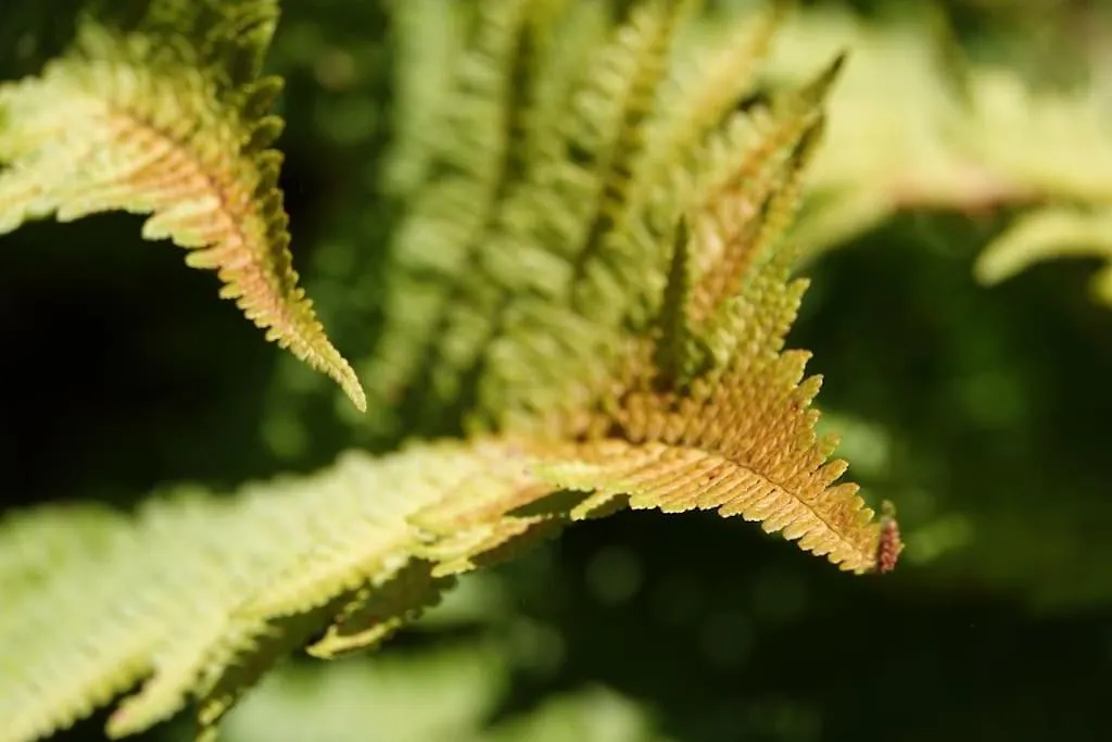 Prázdninový dům Les Combres, Gite Nature Avec Piscine Chauffee Malbosc Francie