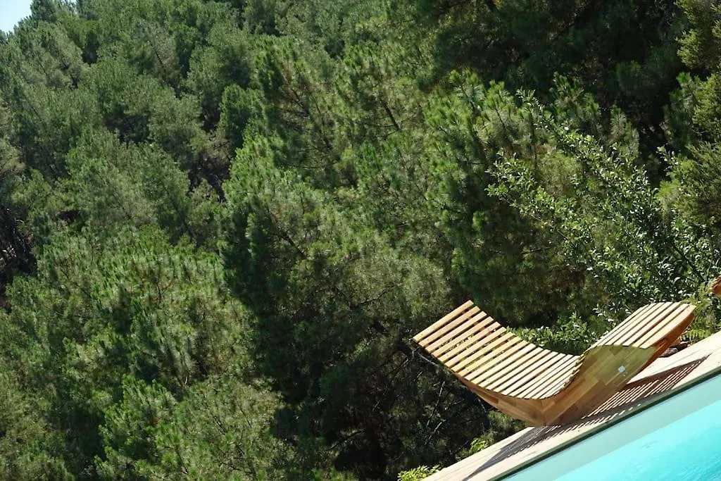 Les Combres, Gite Nature Avec Piscine Chauffee Malbosc