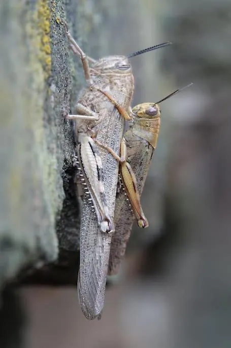 Prázdninový dům Les Combres, Gite Nature Avec Piscine Chauffee Malbosc