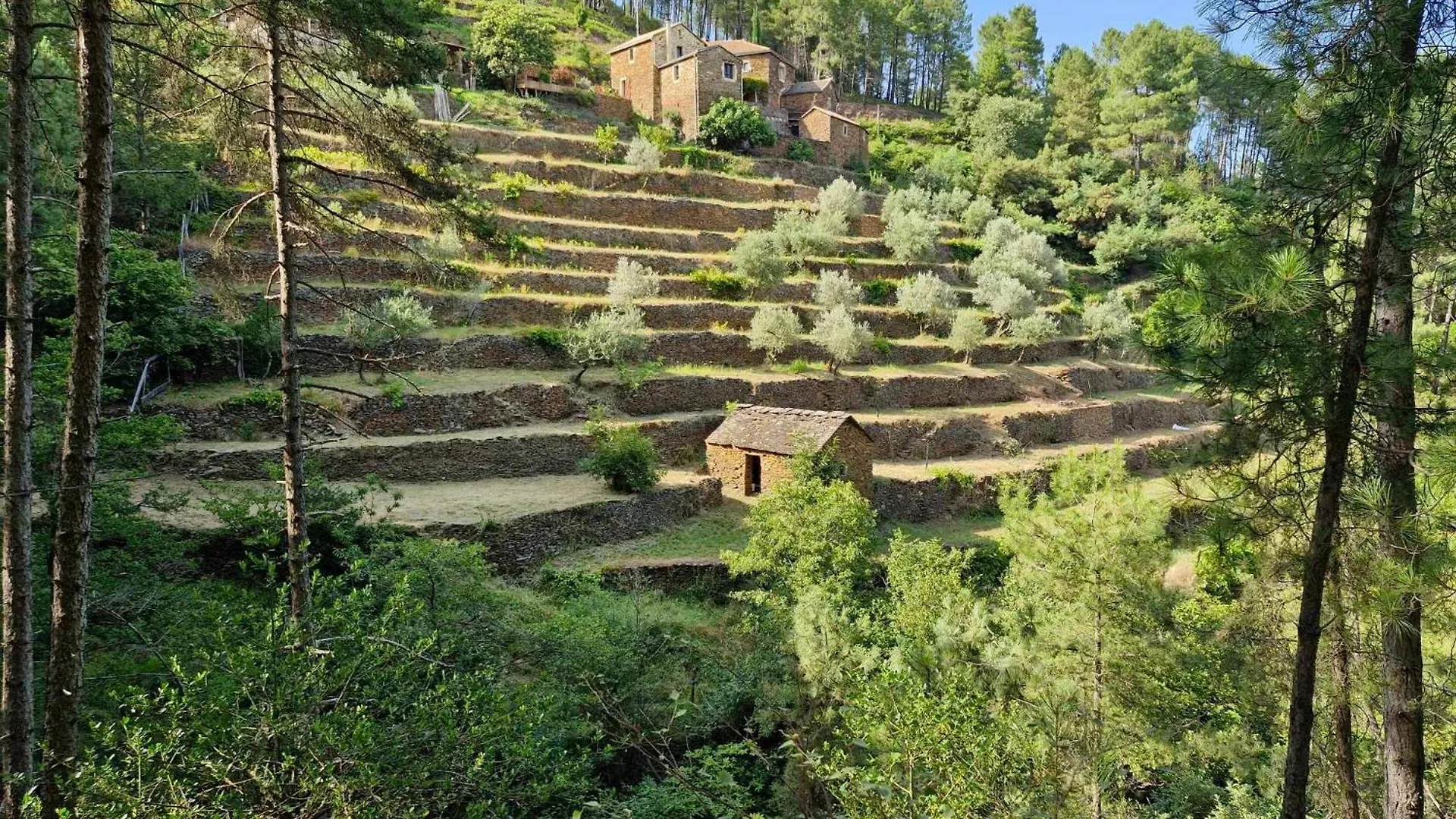 Les Combres, Gite Nature Avec Piscine Chauffee Malbosc